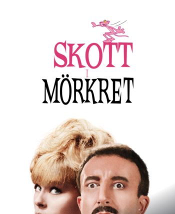 Skott i Mörkret